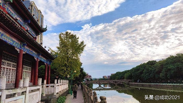 衡阳市区银杏的最佳观赏地,衡阳银杏的最佳观赏地