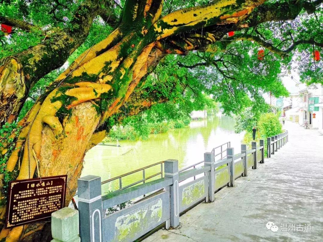 平阳鸣山古村落图片,千年古村平阳县鸣山村古城夜景