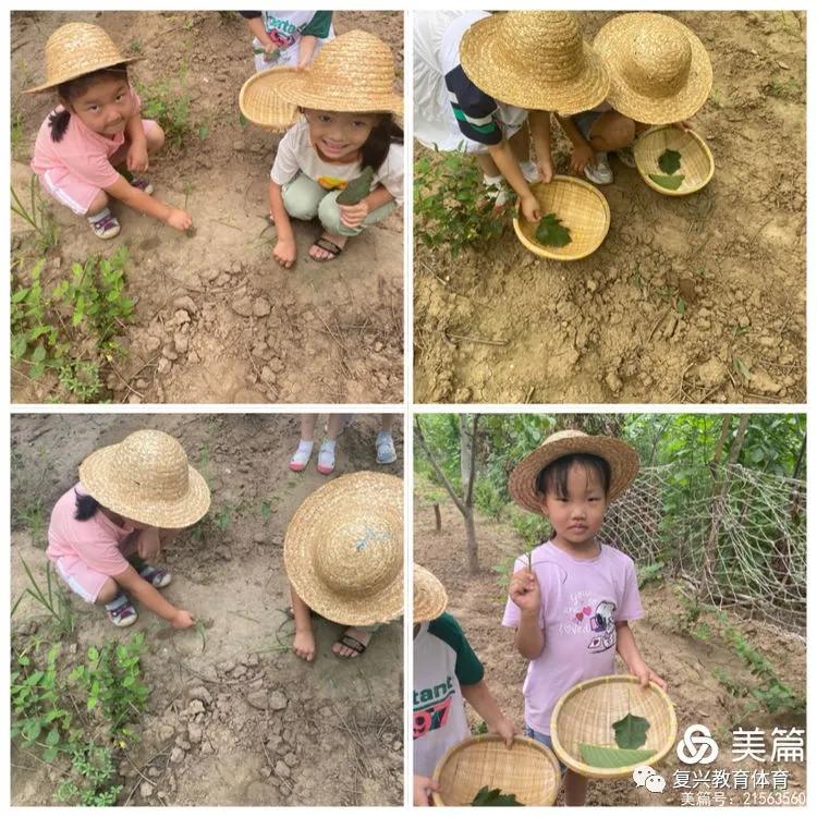 邯郸复兴区第一幼儿园环境,邯郸复兴区第一幼儿园是公立的吗