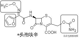 执业药师药物化学结构记忆口诀,初级药师基础知识药物分析