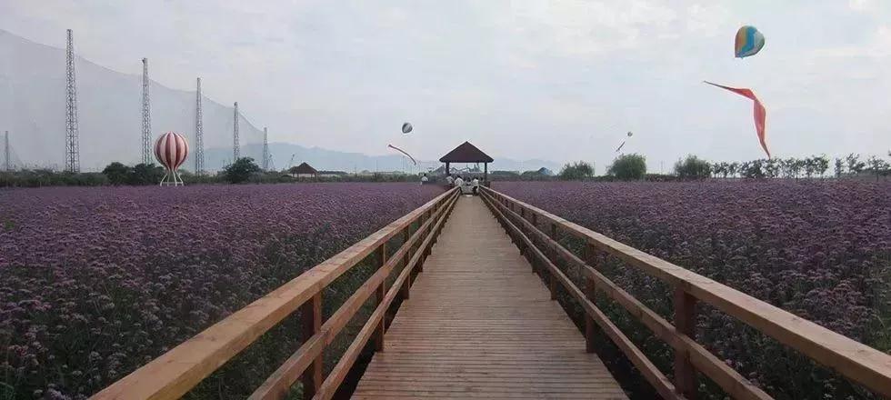 温州旅游景区排行榜前十名,温州十大免费景区排行榜最新