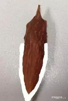 毛笔怎么挑选小视频,斗笔毛笔怎么挑选