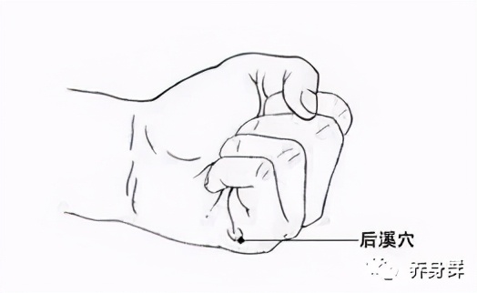 肾虚会腰痛吗肾虚怎么办,腰痛是肾虚吗吃什么中药