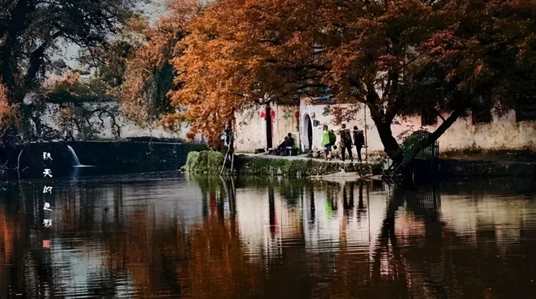 带着狗子旅行推荐,带着狗狗游新疆