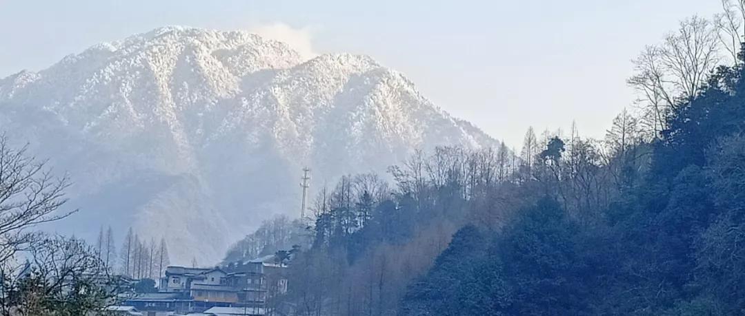 成都出发1.5h,藏在青城后山网红轻奢度假民宿,丨桐去隐泉