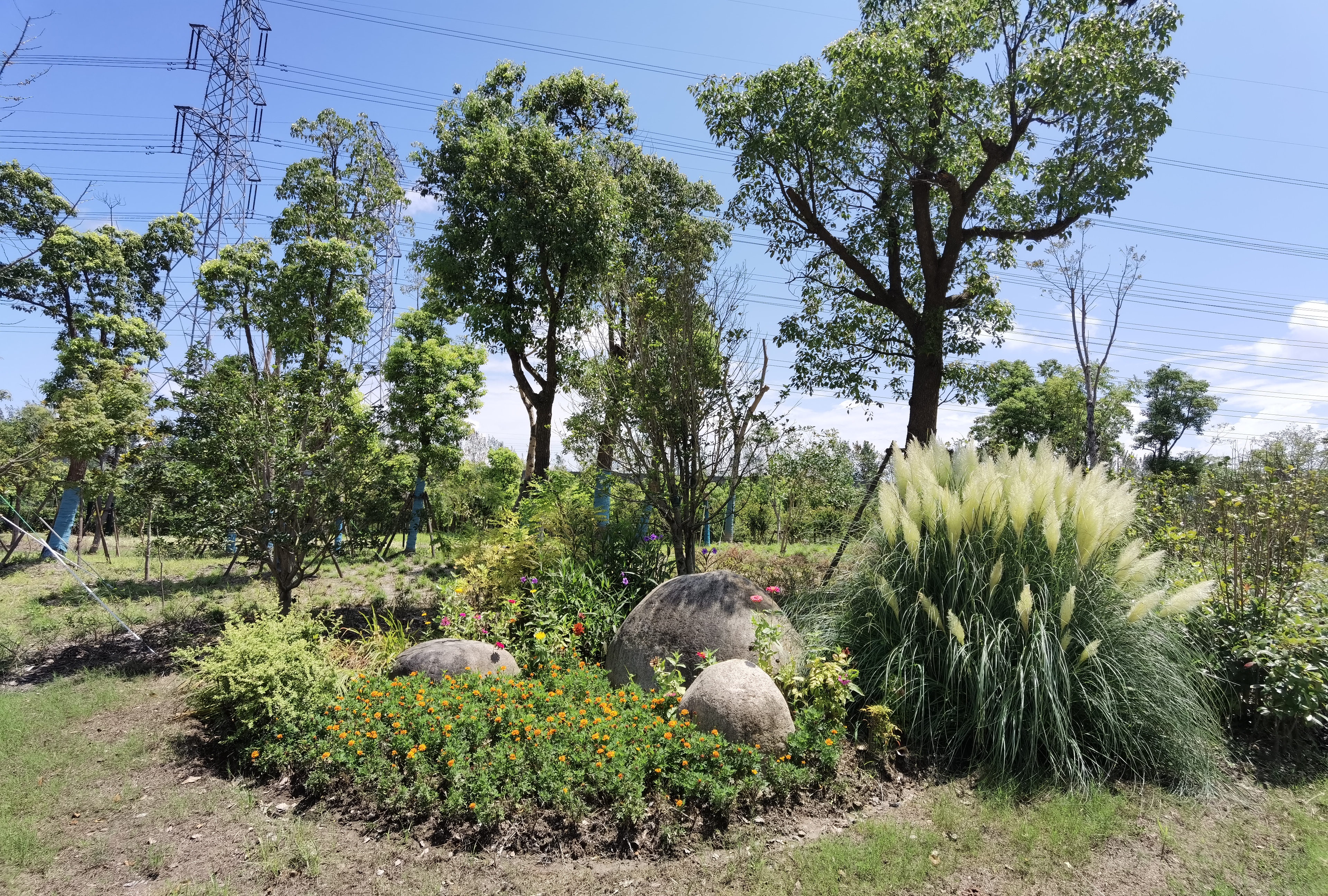 上海森兰绿洲公园面积,外高桥森兰绿地