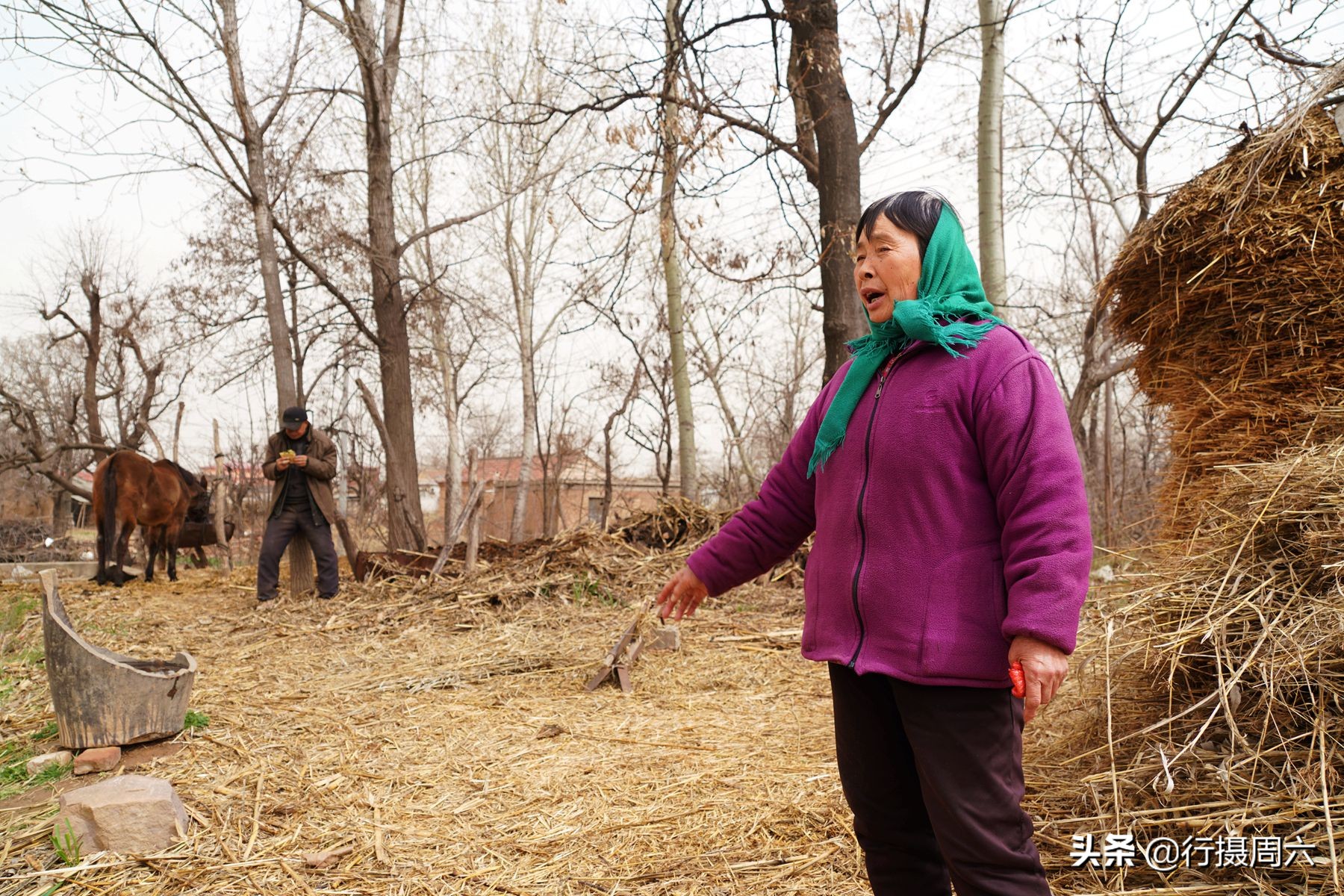 农村老汉养8只狗,农村大爷养小宠物
