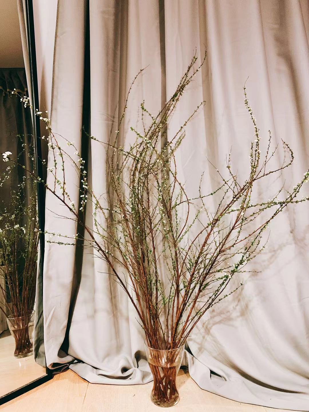 开着福特福克斯去旅游,全新福克斯旅行