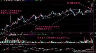 北京大学美女教师的演讲:黑马股启动前的征兆,堪称一绝