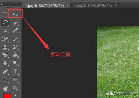 photoshop怎么将两张图片合成,photoshop四张图片合成一张图