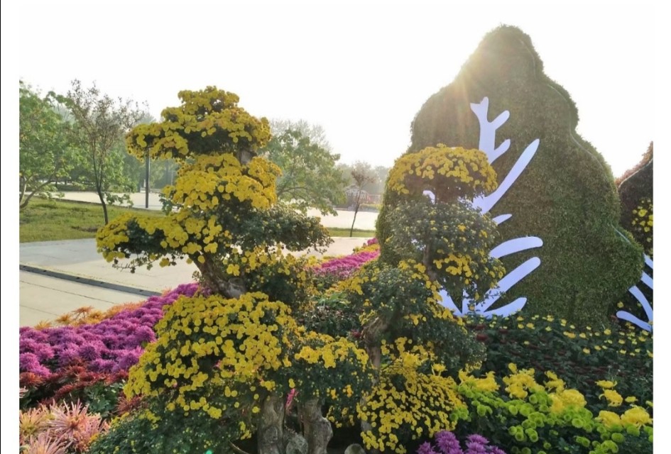 武汉汉南目前房价,武汉市汉南区的房子会涨价嘛