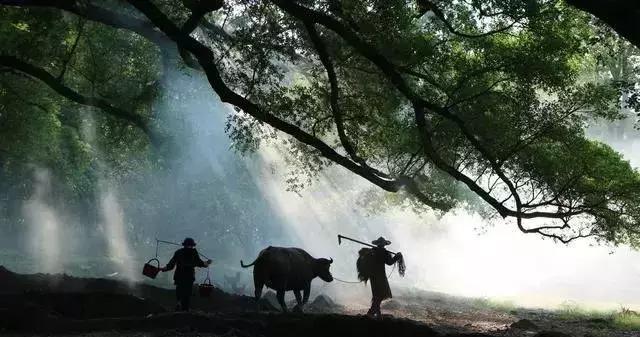 农村是文人墨客向往的世外桃源,向往小桥流水人家的田园归隐