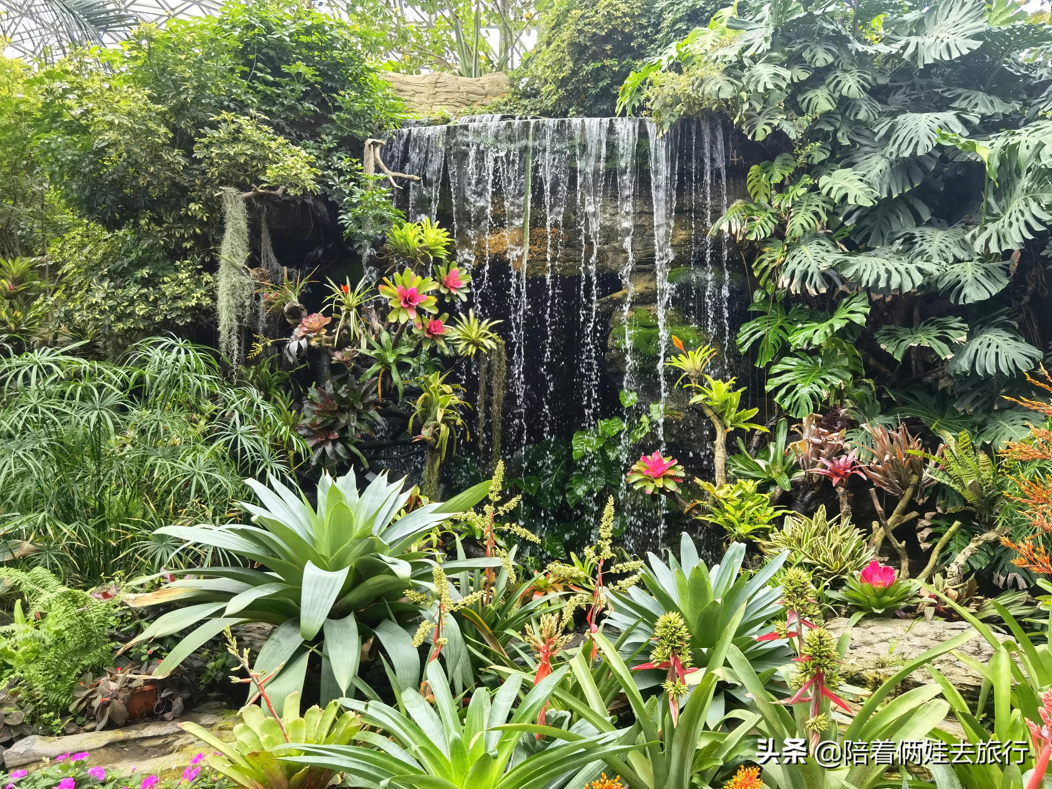 上海辰山植物园矿坑花园,辰山植物园矿坑花园修好了吗