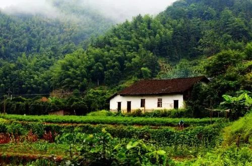 故乡让我很惶恐,故乡显得难以融入难以割舍