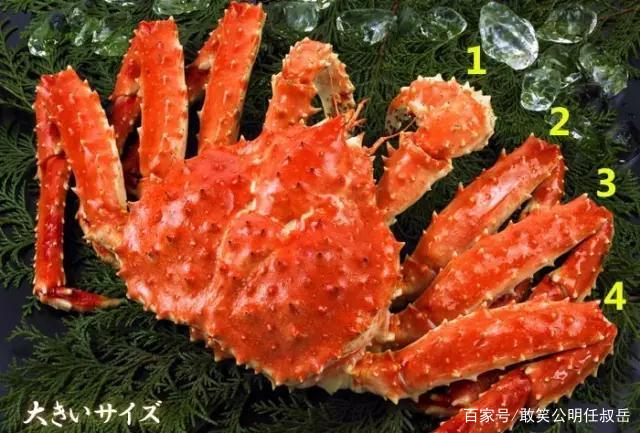 鄂霍次克海是淡水吗,太平洋日本海域