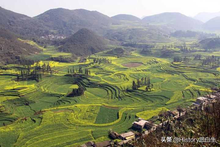 吸烟史翻译,吸烟史超过20年