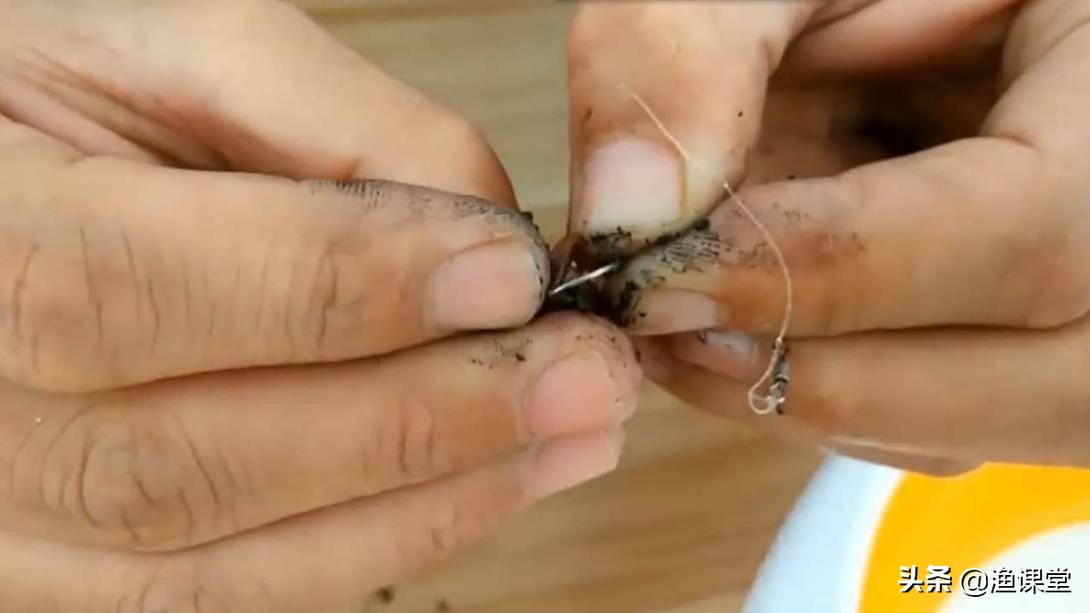 钓鱼最佳挂蚯蚓方法和技巧,如何挂蚯蚓钓鱼技巧