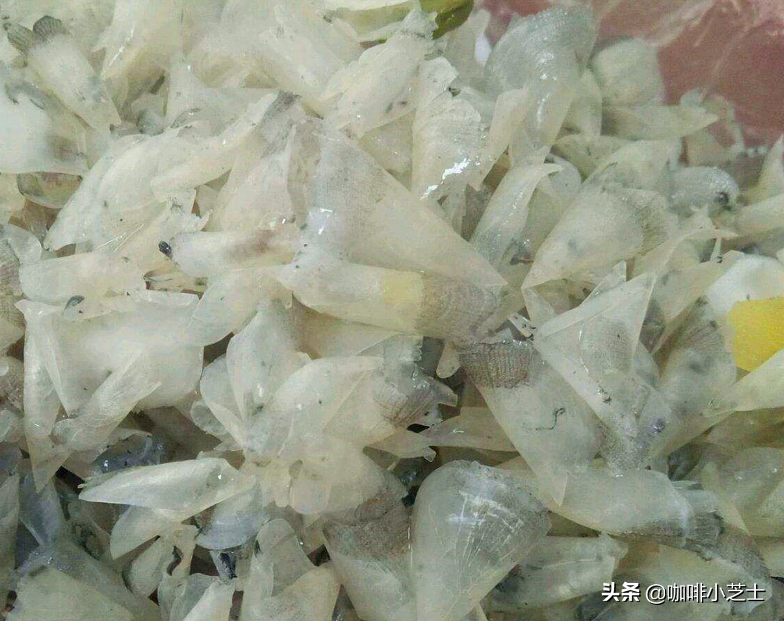 中国人吃鱼吃的鱼到底有多香,中国人太能吃了