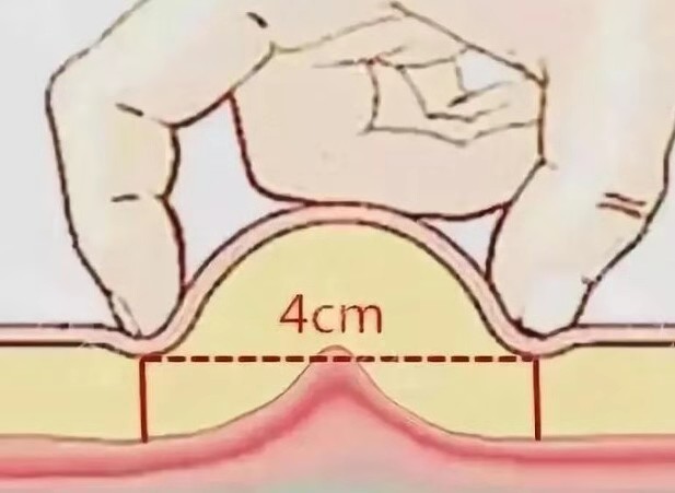 狗狗用哪个牌子的卵磷脂比较好,卵磷脂怎么吃能让狗狗毛发浓密