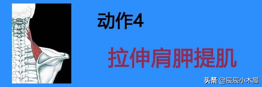肩颈疼痛拉伸动作教学视频,拉伸提高气质缓解肩颈不适健身操