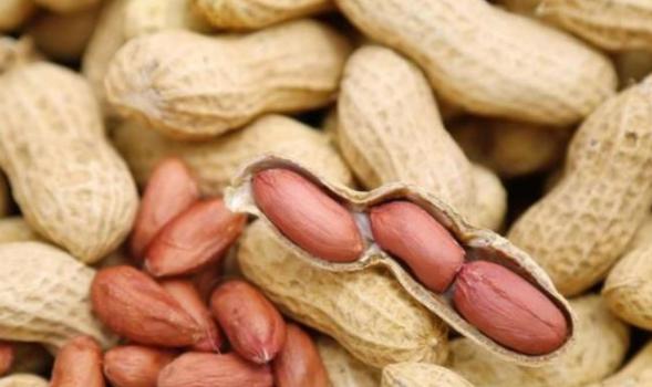 晚上游四方,游四方下联