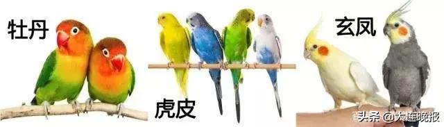 大连破获一起重大案件！涉及大半个中国