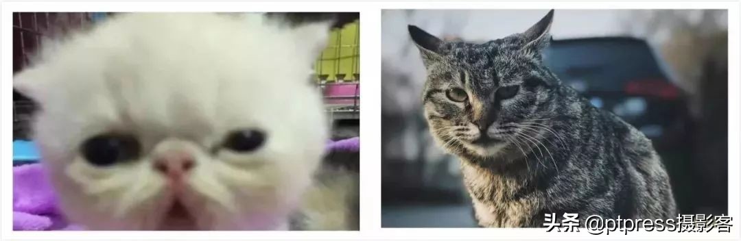 你还在随手拍，他已经凭手机摄影坐拥400万粉丝！（文末有彩蛋）