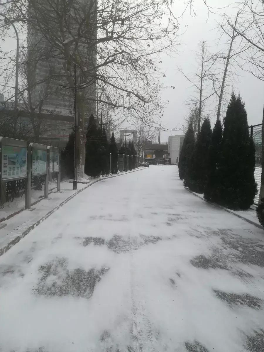 辽宁附属高级中学,辽宁师范大学附属中学2017