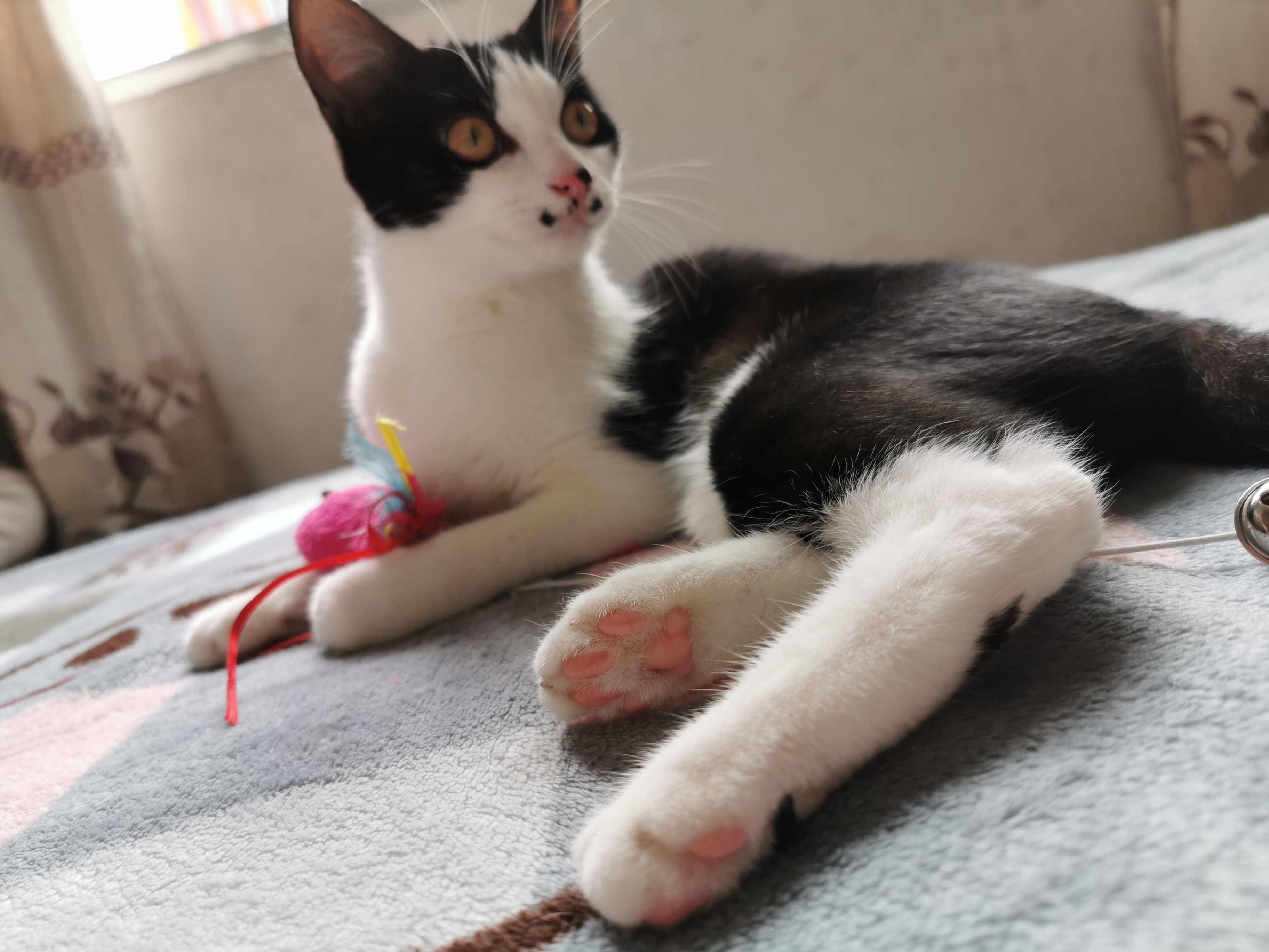 下雨天了我好想你歌词,下雨天了怎么办我好想你原版