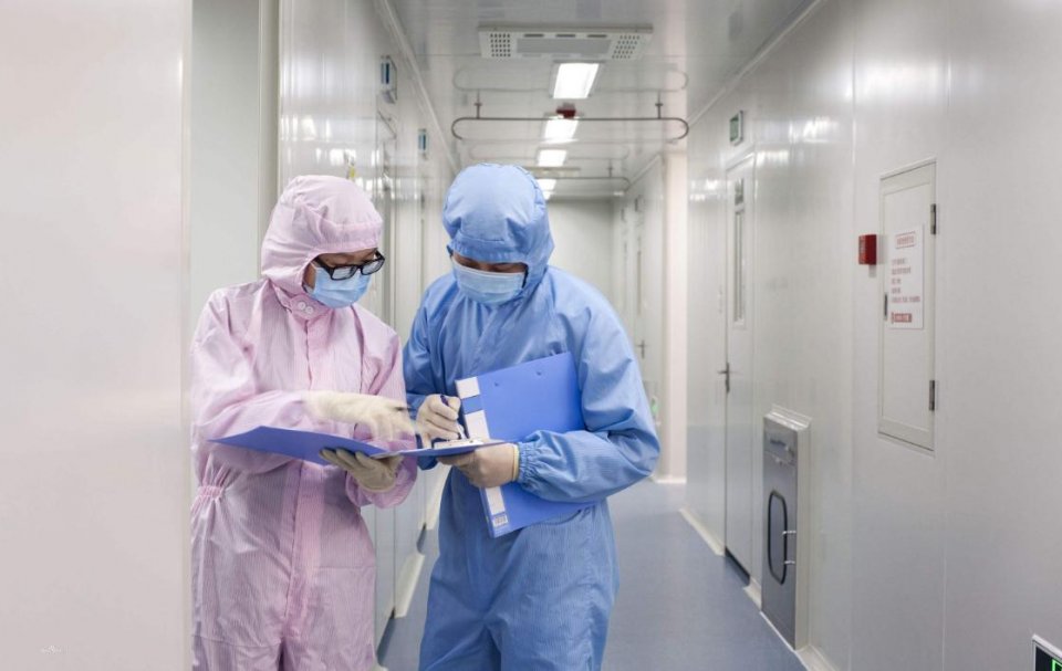 大学生就业容易的专业,大学生就业十大热门专业