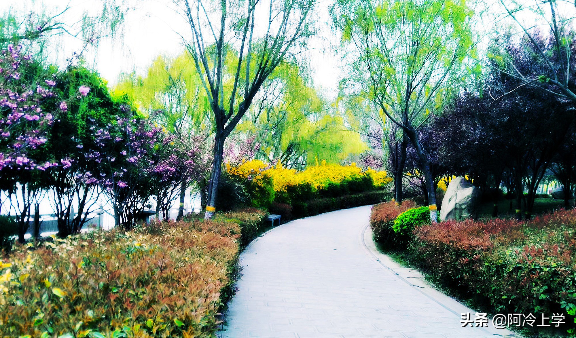 爱的教育授奖仪式,爱的教育的颁奖典礼读后感