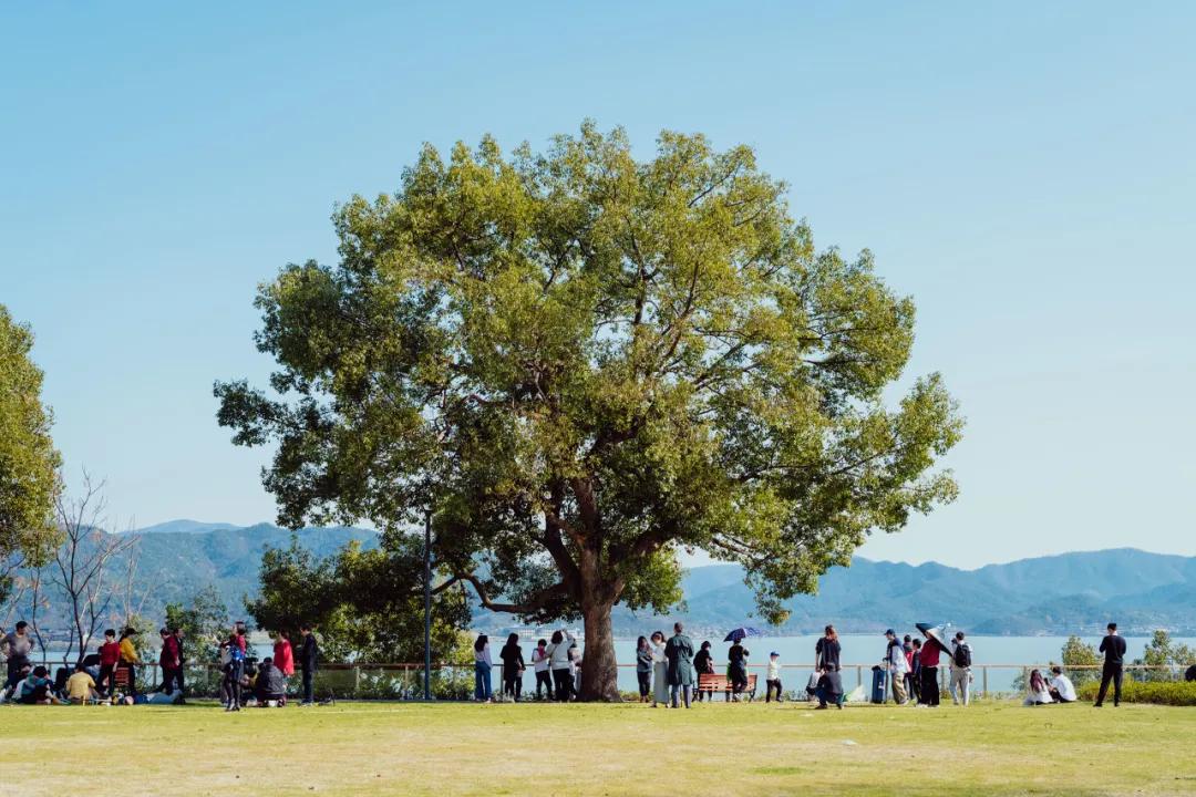 推荐几个宁波好玩的地方,宁波适合短途旅游的地方