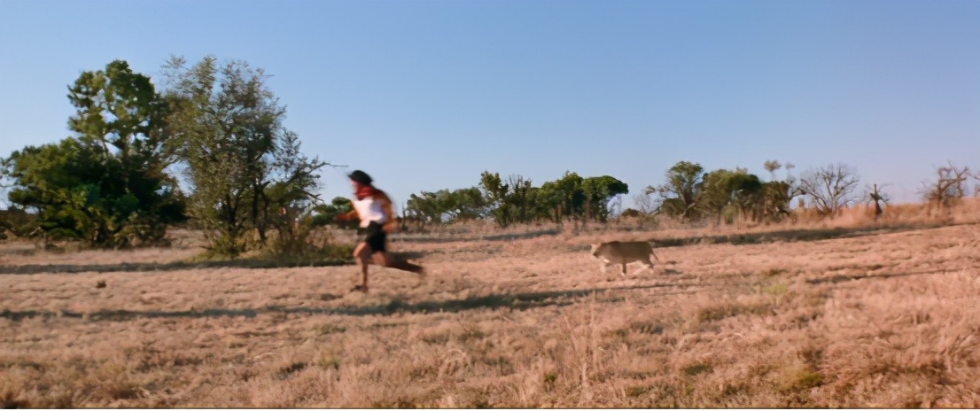 去非洲草原，要怎么做，才能不被狮子吃掉？
