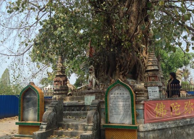 身为广东人你对广东了解多少呢,德宏景点最值得去的地方