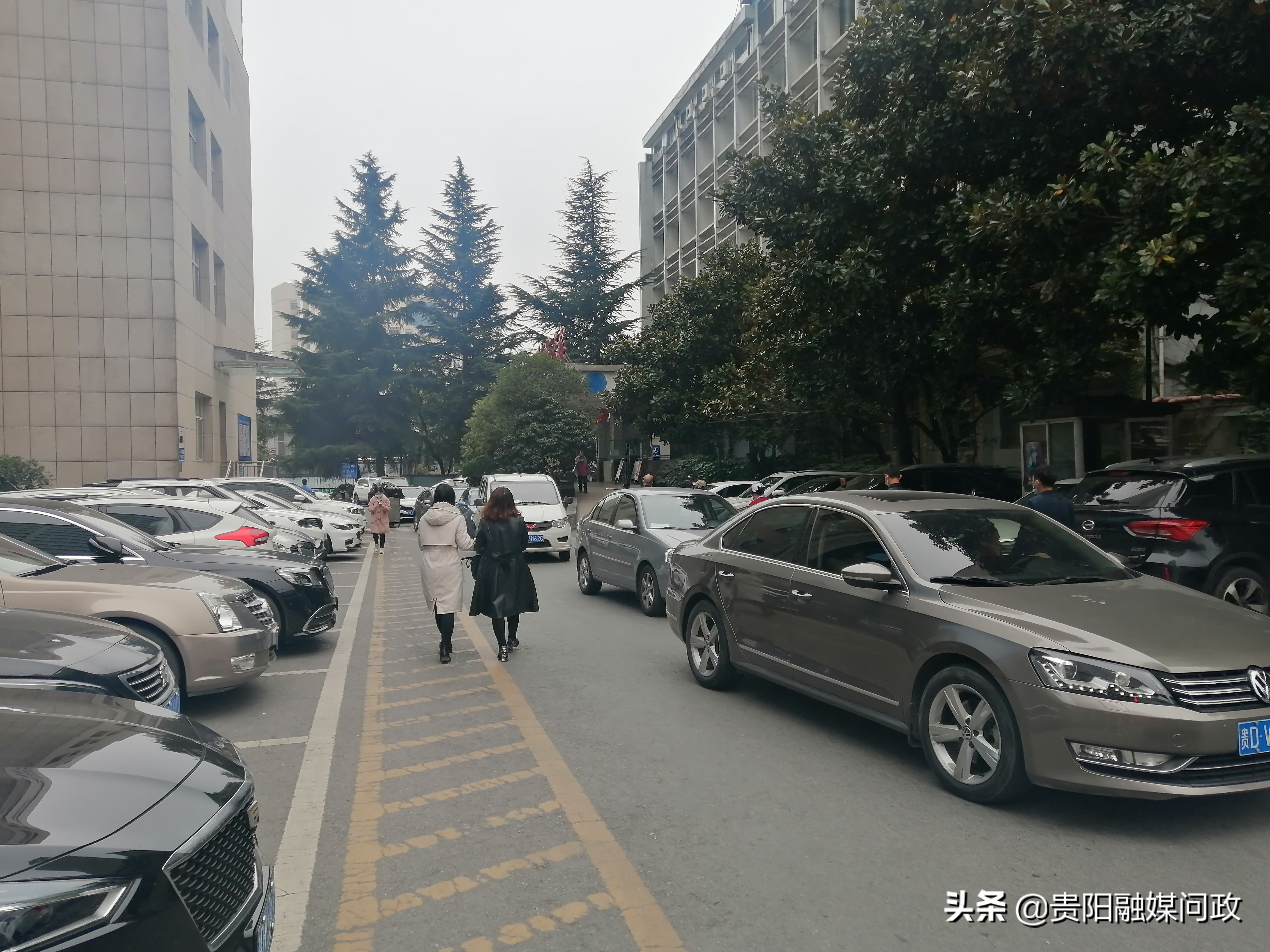 驾车就医“最后100米”有点“卡”,症结主要在于医院车位不足|融媒问政