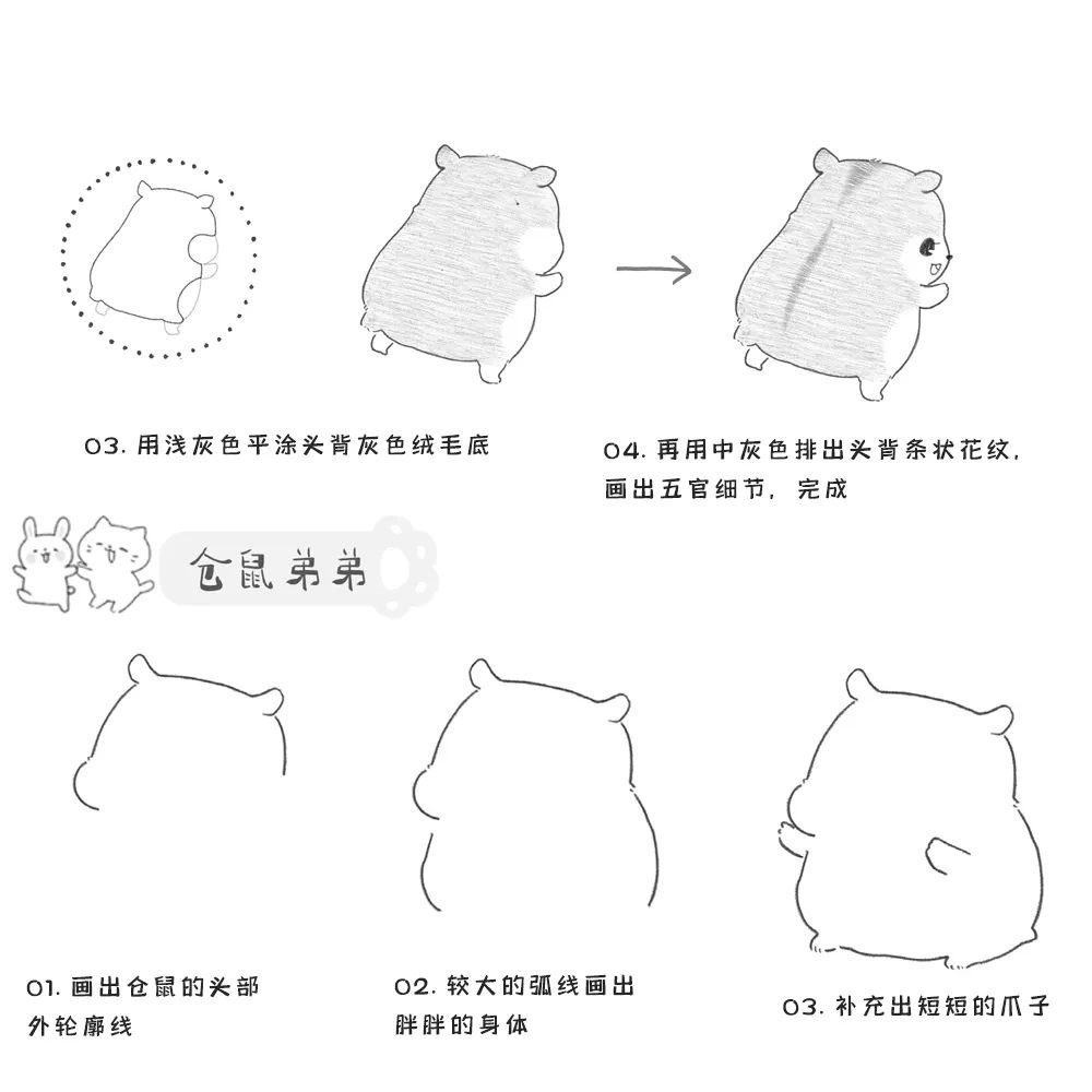 小仓鼠简笔画简单的画法,教你画简笔画小仓鼠只有一厘米长
