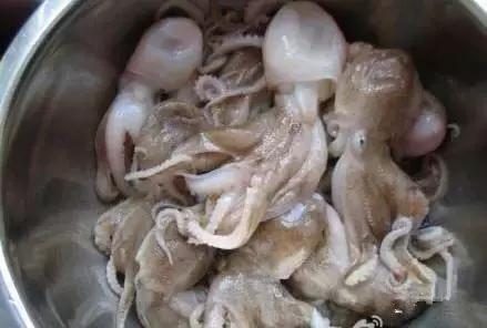 渔民海鲜大全,渔民整理的海鲜河鲜大全