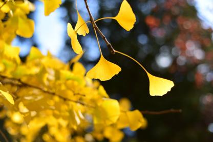 拍摄超级利器尼康d750,尼康d750拍摄人文样张