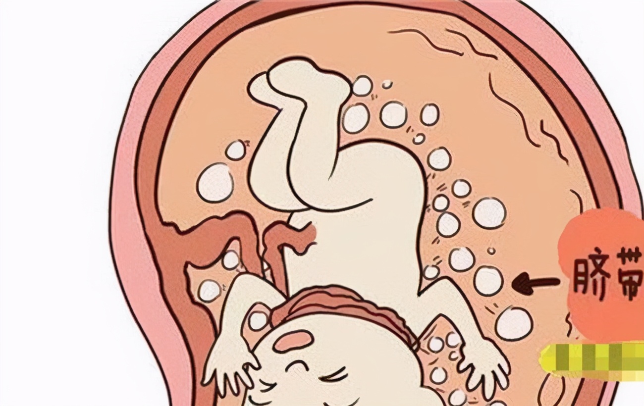 孕期读懂6个胎动信号,怀孕期间胎动解读