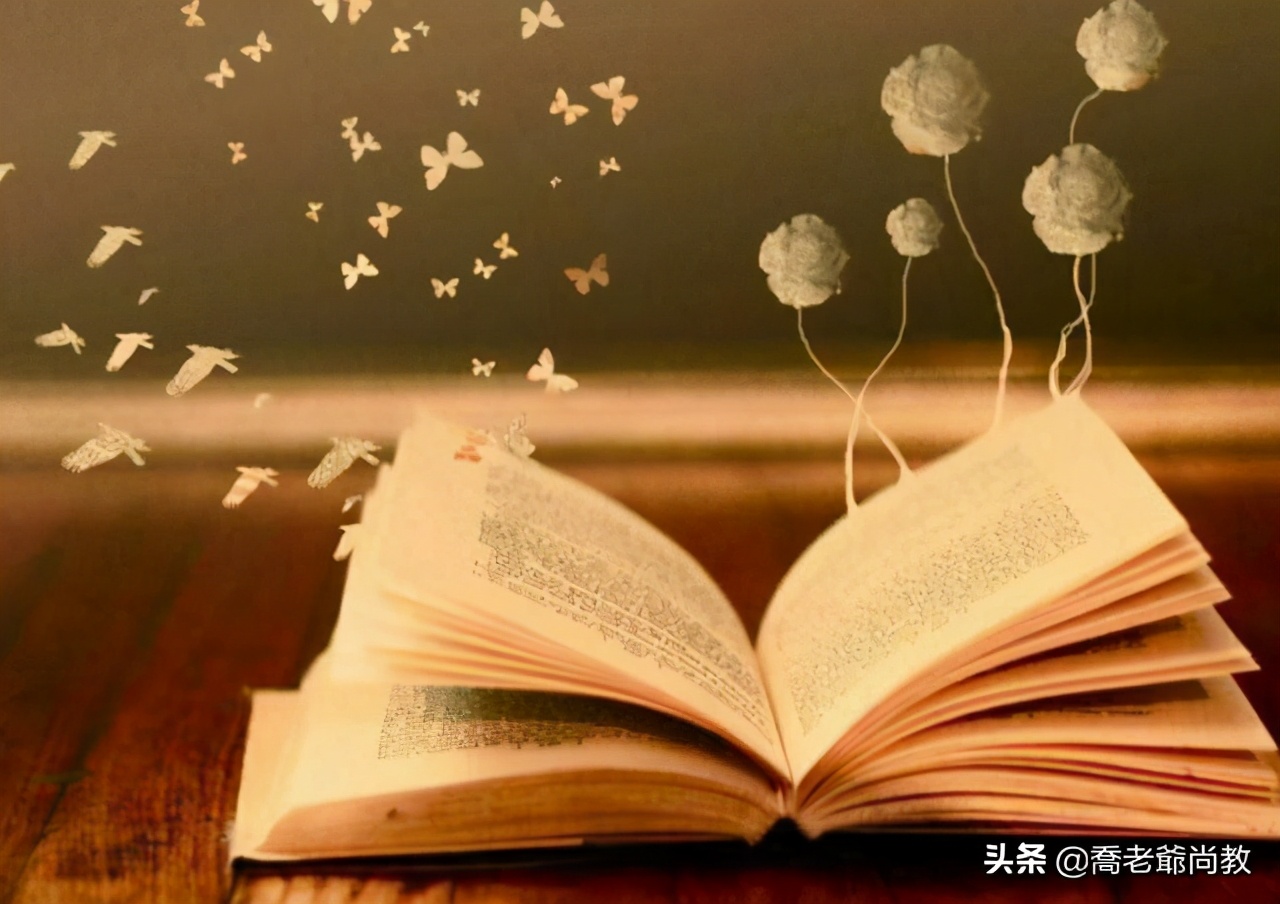 球王之殇,马拉多纳职业之路