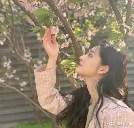 林允为闺蜜辟谣反被群嘲,林允被人疯狂吐槽