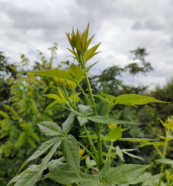 孩子吃不了学习的苦就吃生活的苦,孩子吃不了苦学习没劲头怎么办
