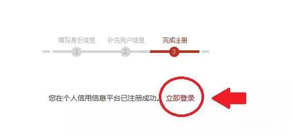 网版征信查询上征信吗,网查征信为什么是简版的