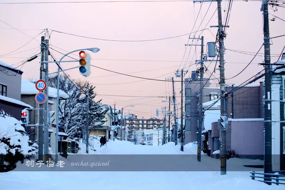 老实说，这一趟北海道就是为了拍好看的照片去的