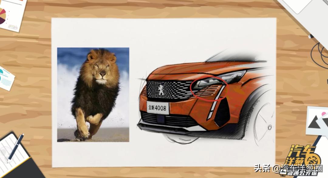 把狮子放在森林上会怎么样,把狮子放在笼子里会怎么样