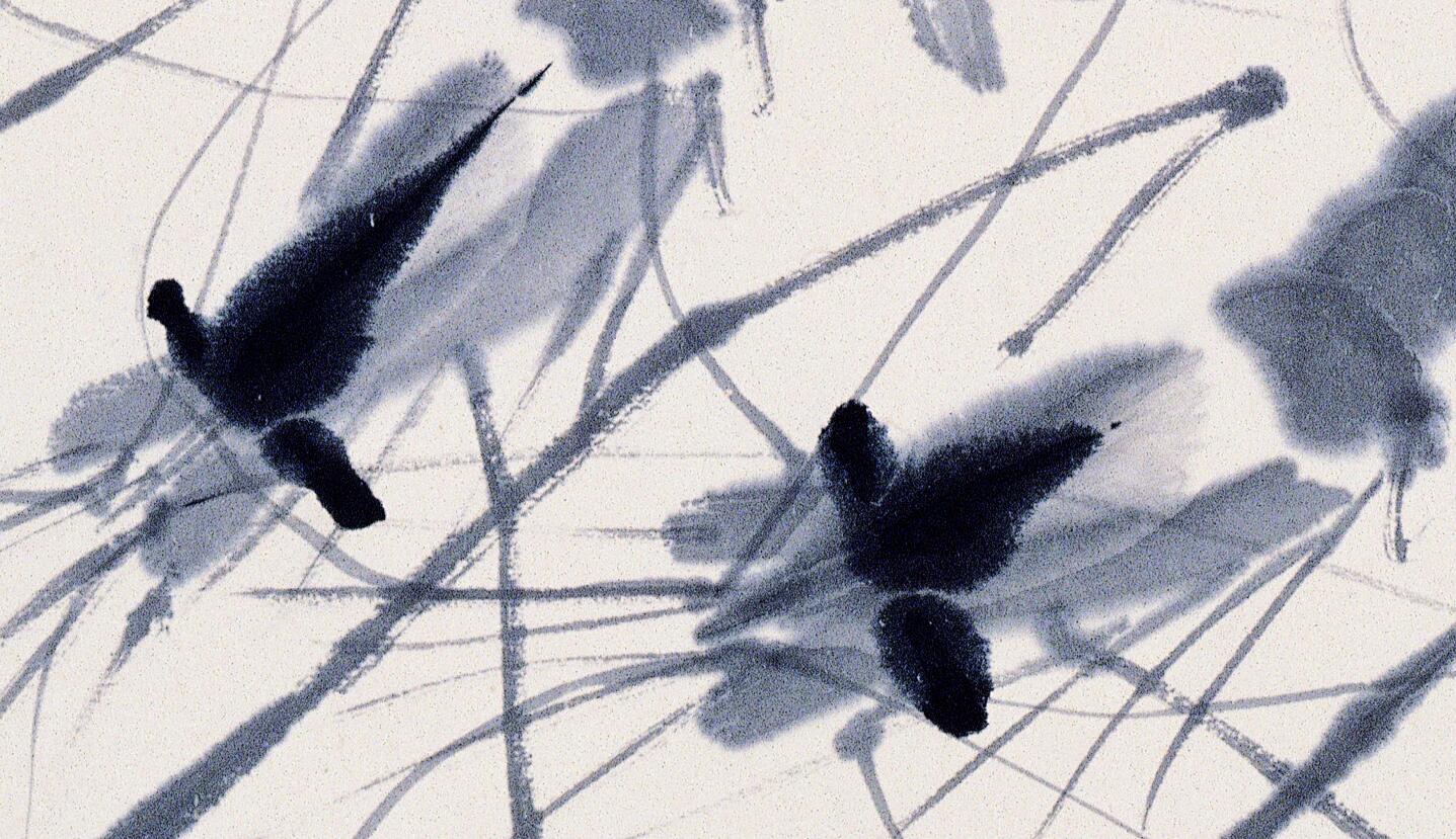 白石老人画虾视频大全,白石老人画虾的感悟