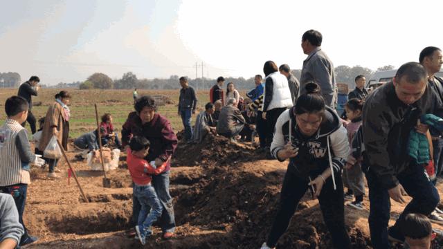铁棍山药与普通山药哪种好吃,铁棍山药和小白嘴山药味道的区别