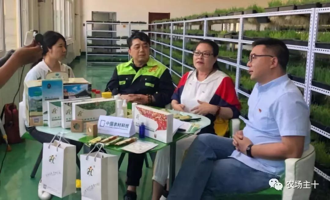 传统方法种菜也能致富的方法,纸上种菜怎么赚钱