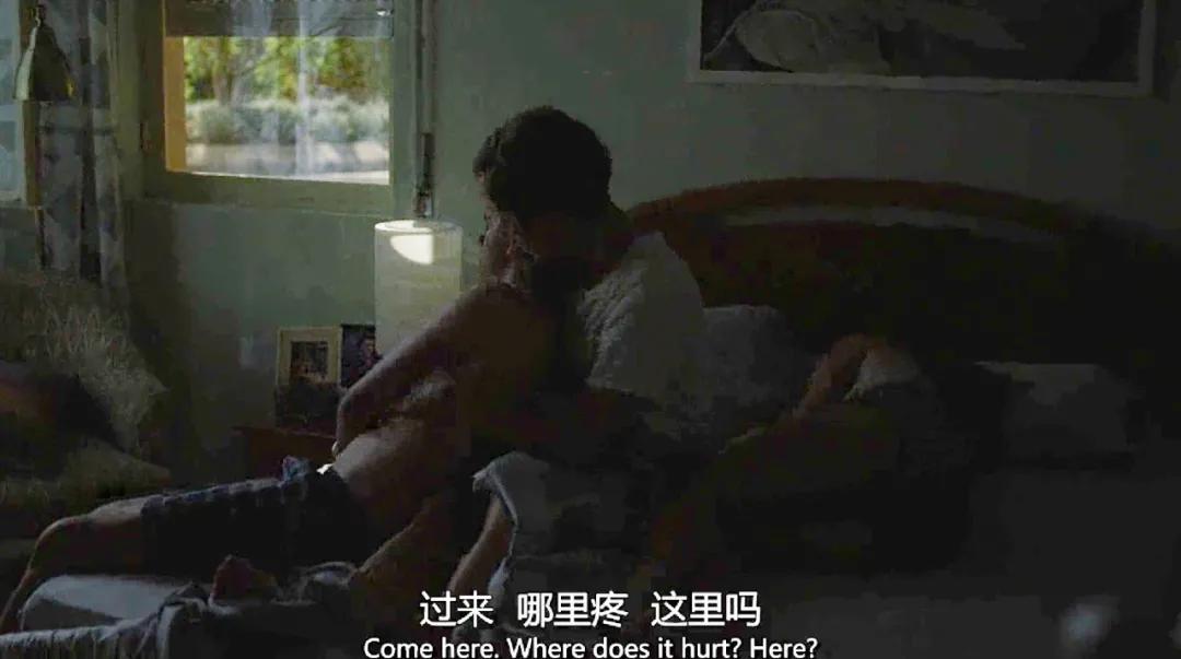 卢卡瓜达尼诺合作电影,卢卡瓜达尼诺电影风格