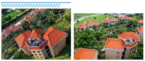 下川岛小帕劳,广东小帕劳